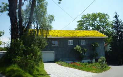 Quellhof Allgäu Rückblick – was bisher geschah…