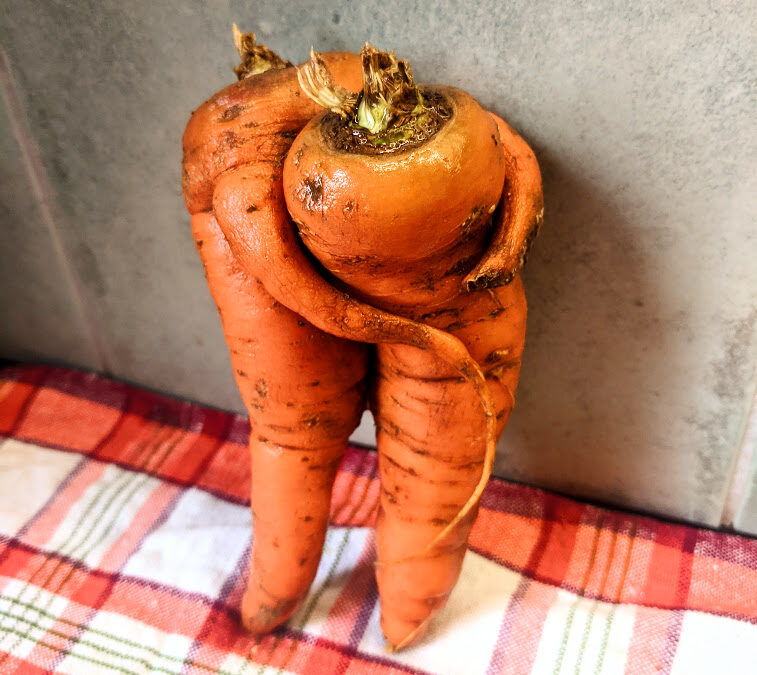 Karottenfreundschaft