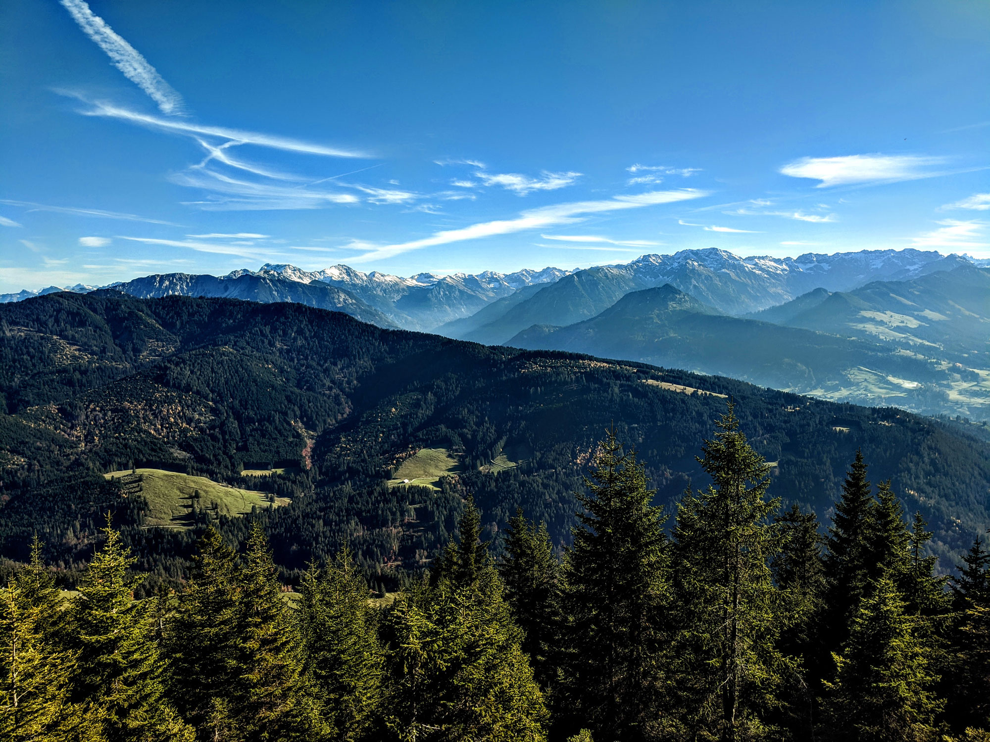 Allgäuer Alpen vom Grünten