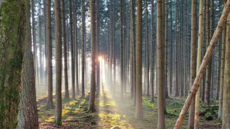 30.10. – 02.11.2026 Herbst-Auszeit im Allgäu für Frauen – Kraft tanken & die Seele nähren